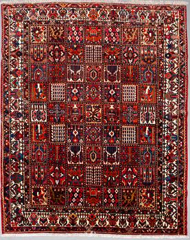 MATTA, Bakhtiari, ca 375 x 295 cm.