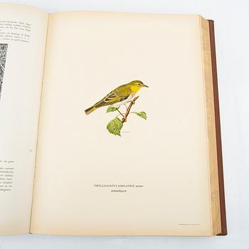 Bröderna von Wright, book series, 3 volumes, "Swedish Birds", A. Börtzells tryckeri AB, Stockholm, 1924-1929.