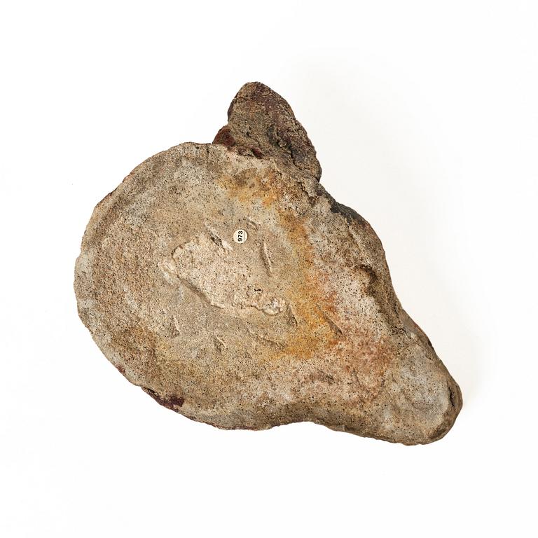 Varghuvud, 1800-tal eller äldre.