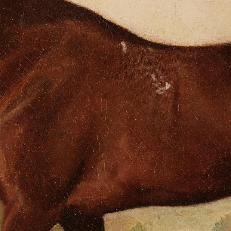 George Stubbs, "Eagle, a bay racehorse".