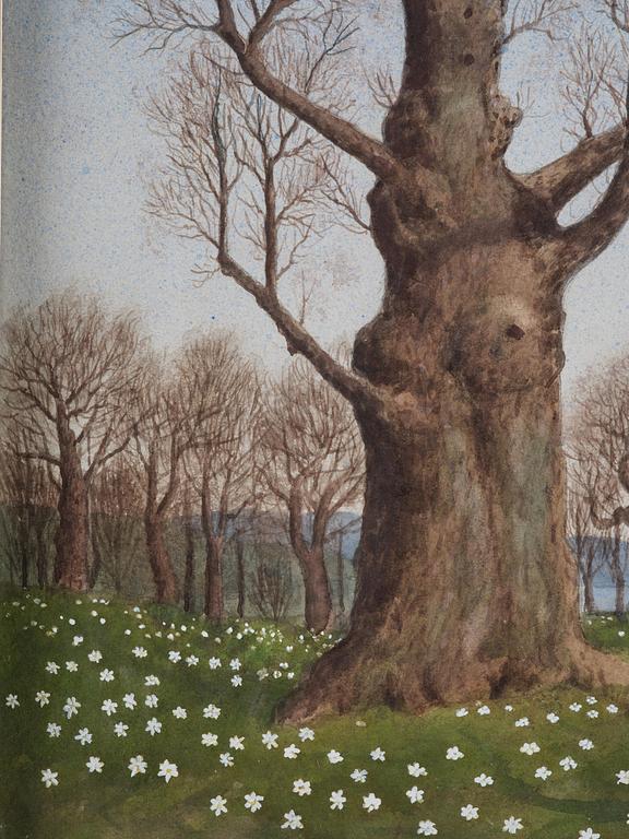 Oskar Bergman, Oak in a spring landscape.
