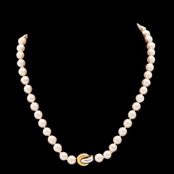 Necklace of cultured pearls with clasp in 18K white and red gold.