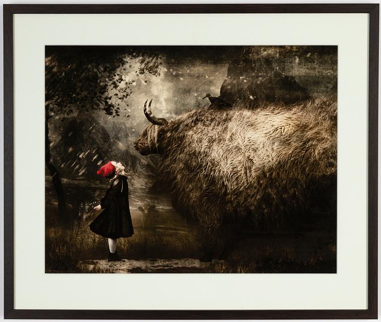 Cooper & Gorfer, archival pigment print, signerad 256/375 a tergo.