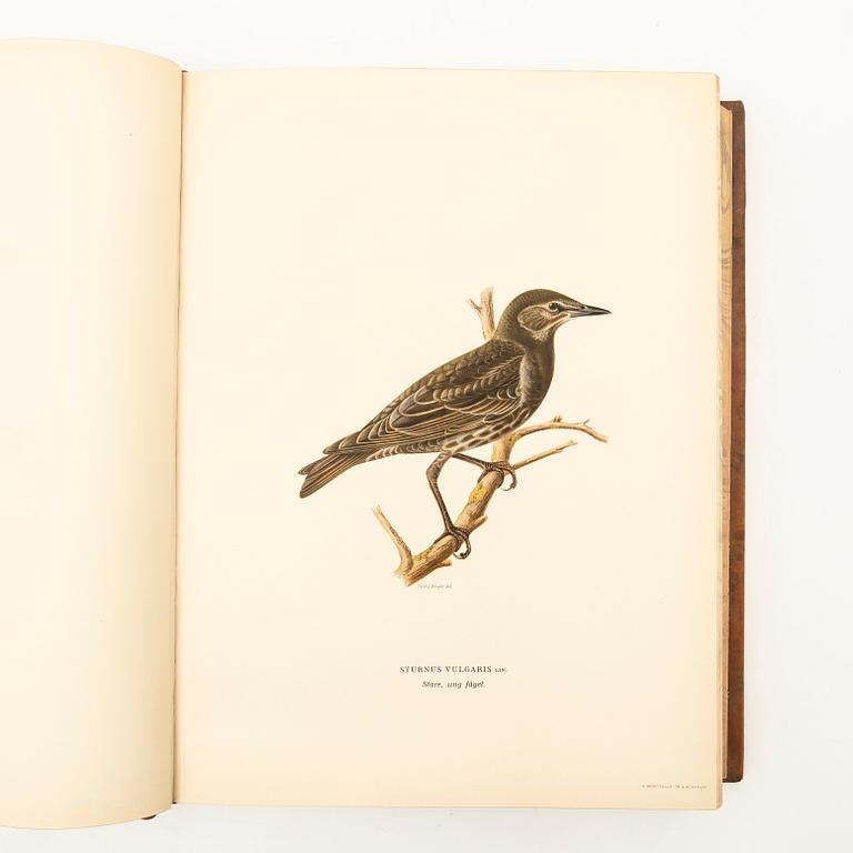 The Wright Brothers, book work, 3 volumes, "Swedish Birds", A. Börtzells tryckeri AB, Ivar Baarsen, Stockholm, 1927-1929.