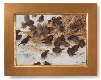 Bruno Liljefors, Sparrows.