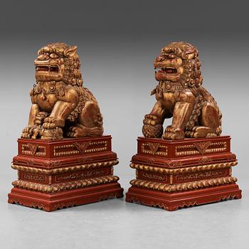 A pair of Chinese massive lacquered Buddhist lions, first half of the 20th Century.