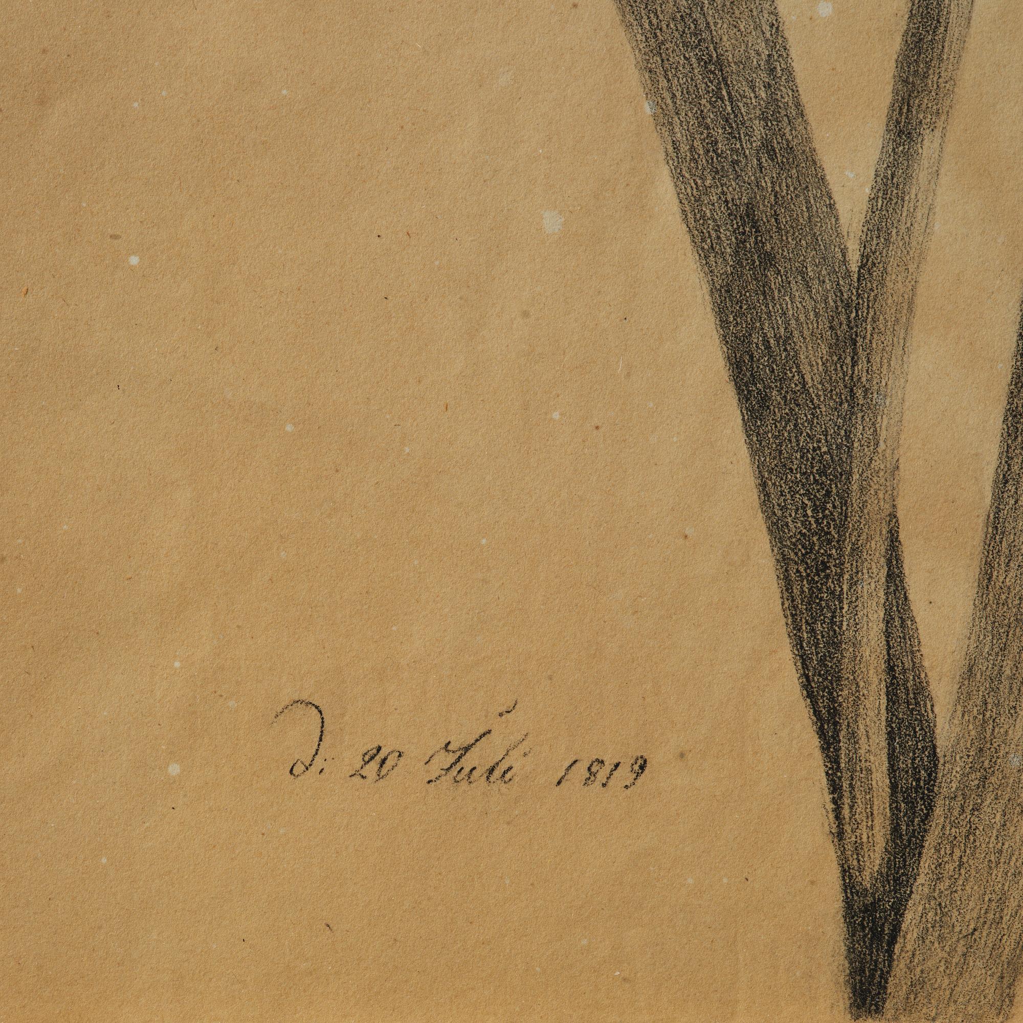 Ramar, ett  par, Sverige, tidigt 1800-tal, Empire, med blomsterstudier av Margareta Tröne (1804-1830).