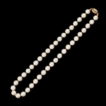 PÄRLCOLLIER, odlade pärlor.