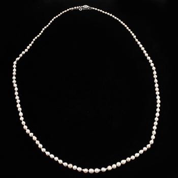 COLLIER, odlade barocka saltvattenspärlor, lås i silver.
