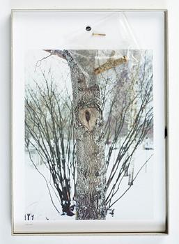 Andreas Eriksson, Almanacka 2011.