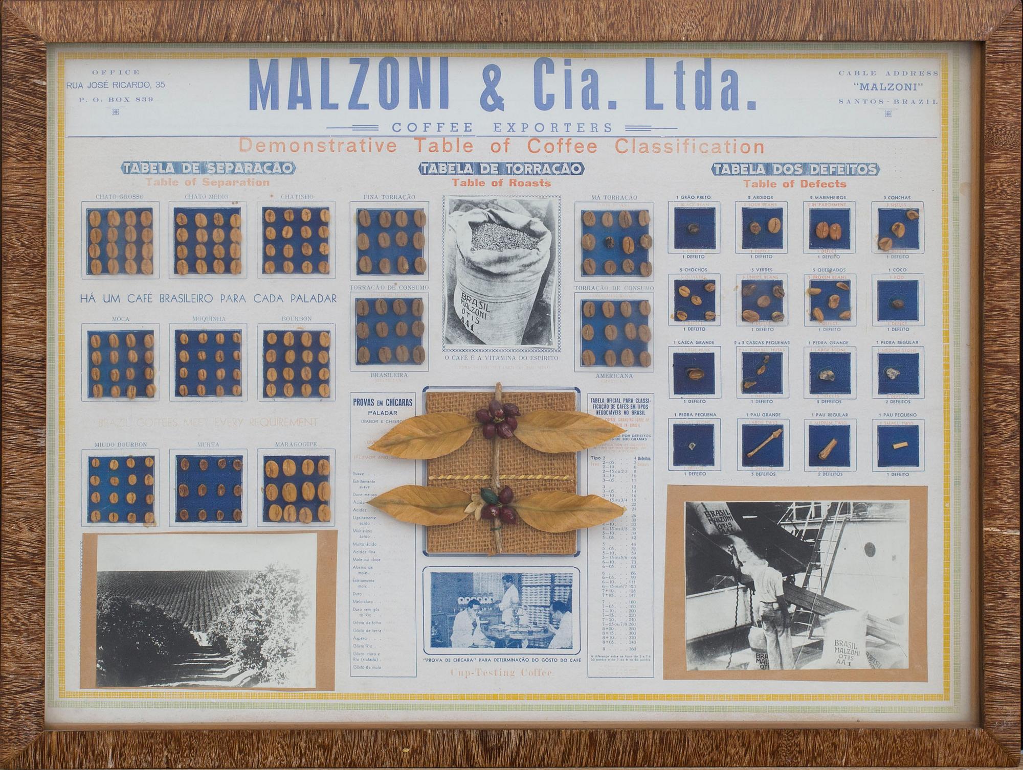"Demonstrative Table of Coffee Classification".