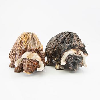 Tommy Assarsson, Musk Oxen a pair.