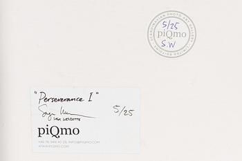 Saga Wendotte, "Perseverence I".