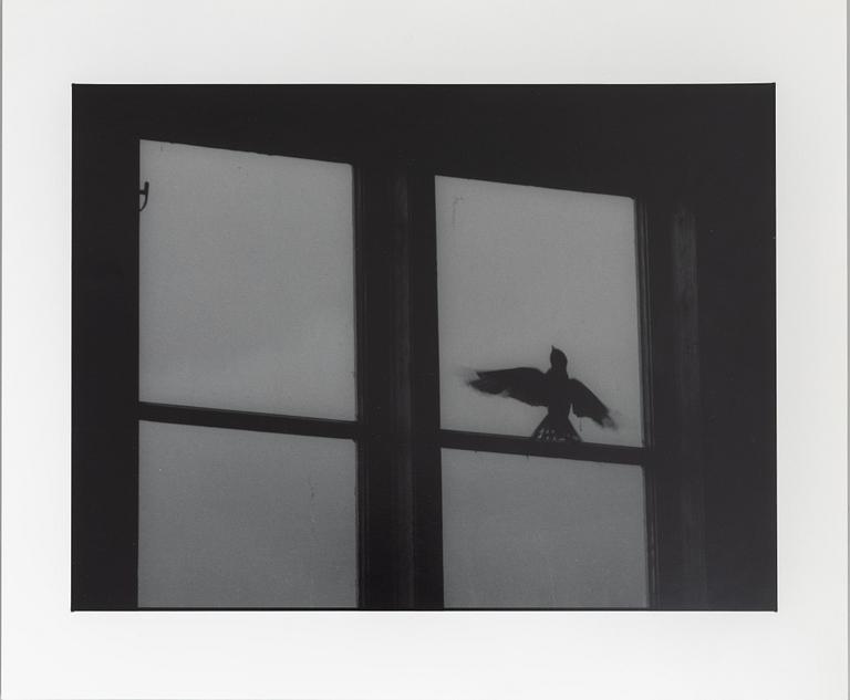 Kenneth Gustavsson, "Utan titel (fågel i boa)", 1985.