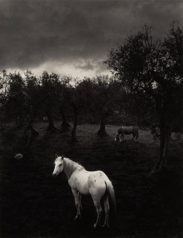 Pentti Sammallahti, "Cilento, Italia, 2000".