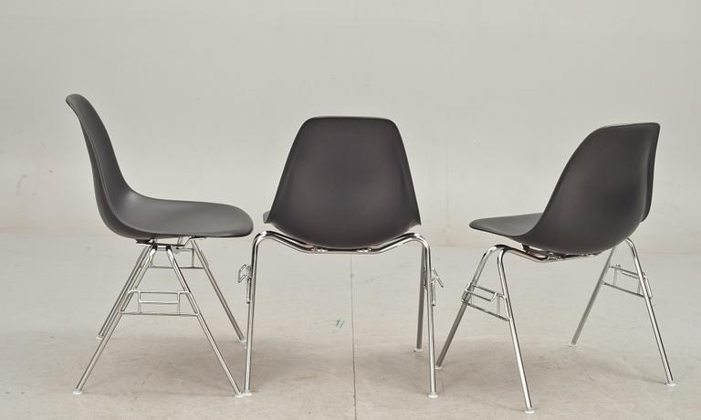 STOLAR, 6 st. "DSS" Charles Eames för Vitra. Etikettsmärkta.