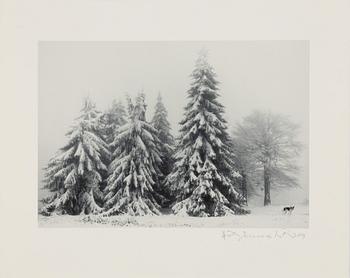 Pentti Sammallahti, "Petrohan, Bulgaria, 2003".