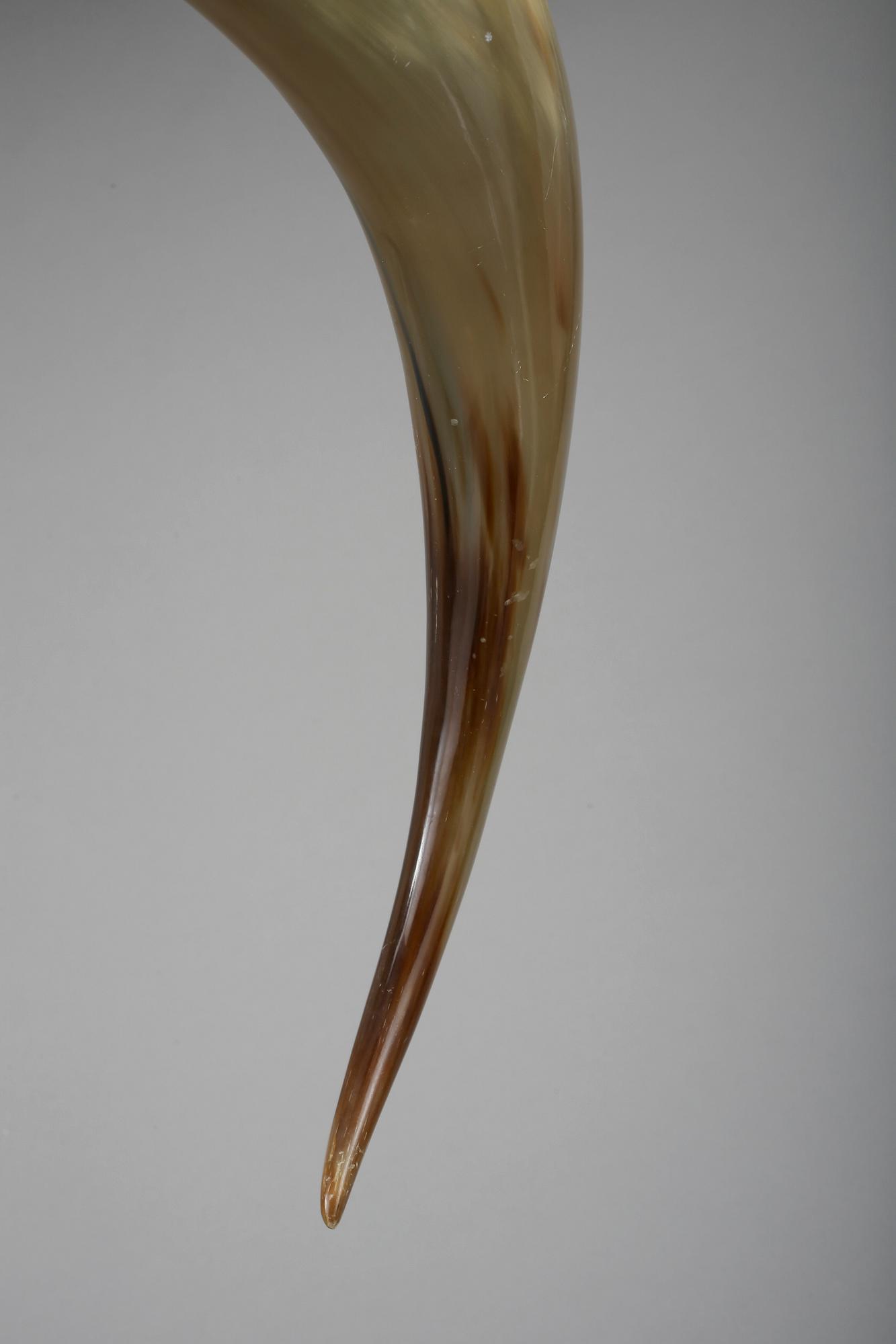 HORN, 1900-tal.