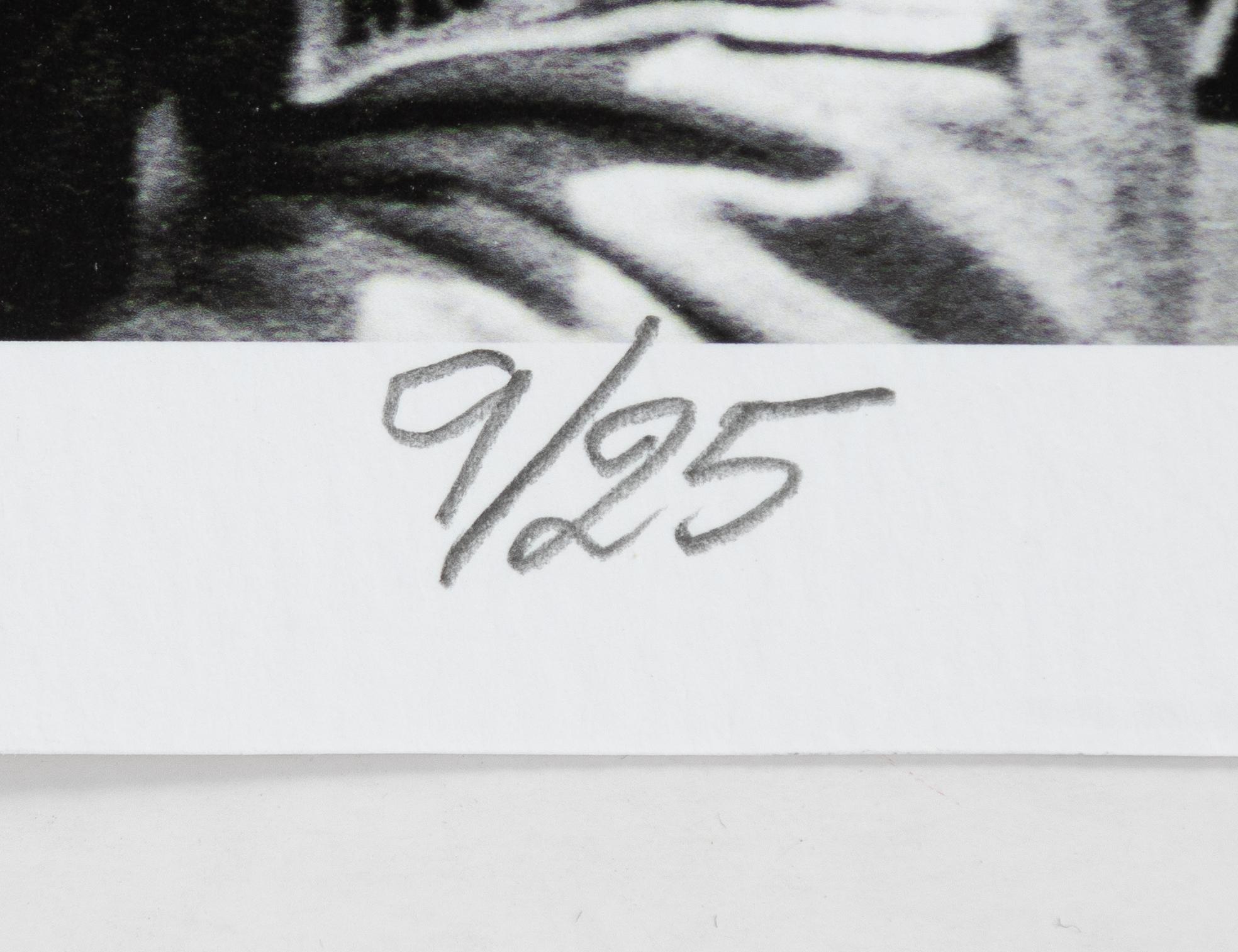 Kenneth Olausson, "Ronnie Petersons ärevarv i Dijon 1974".