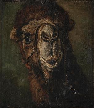 578C. Jean-Louis-André-Théodore Géricault, circle of, Camel Head.