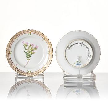 A set of 14 Royal Copenhagen 'Flora Danica' dishes, Denmark, 20th Century.