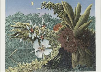 Anders Pehrson, lithograph in colours, signed, dated 83, provtryck.