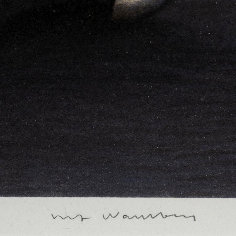 ULF WAHLBERG, kithograph in colours, signed 75/80.