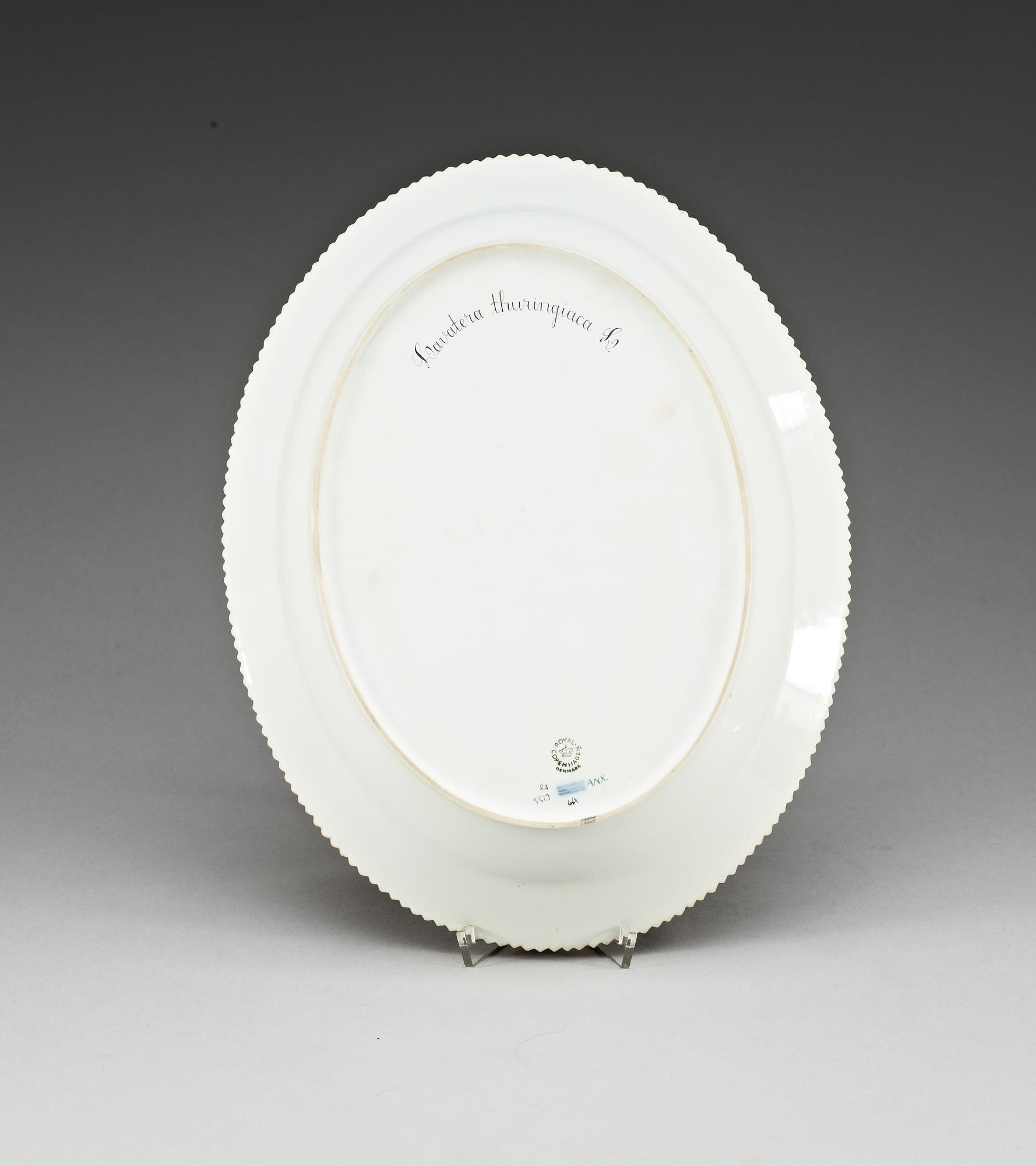 A Royal Copenhagen 'Flora Danica' dish, 20th Century.