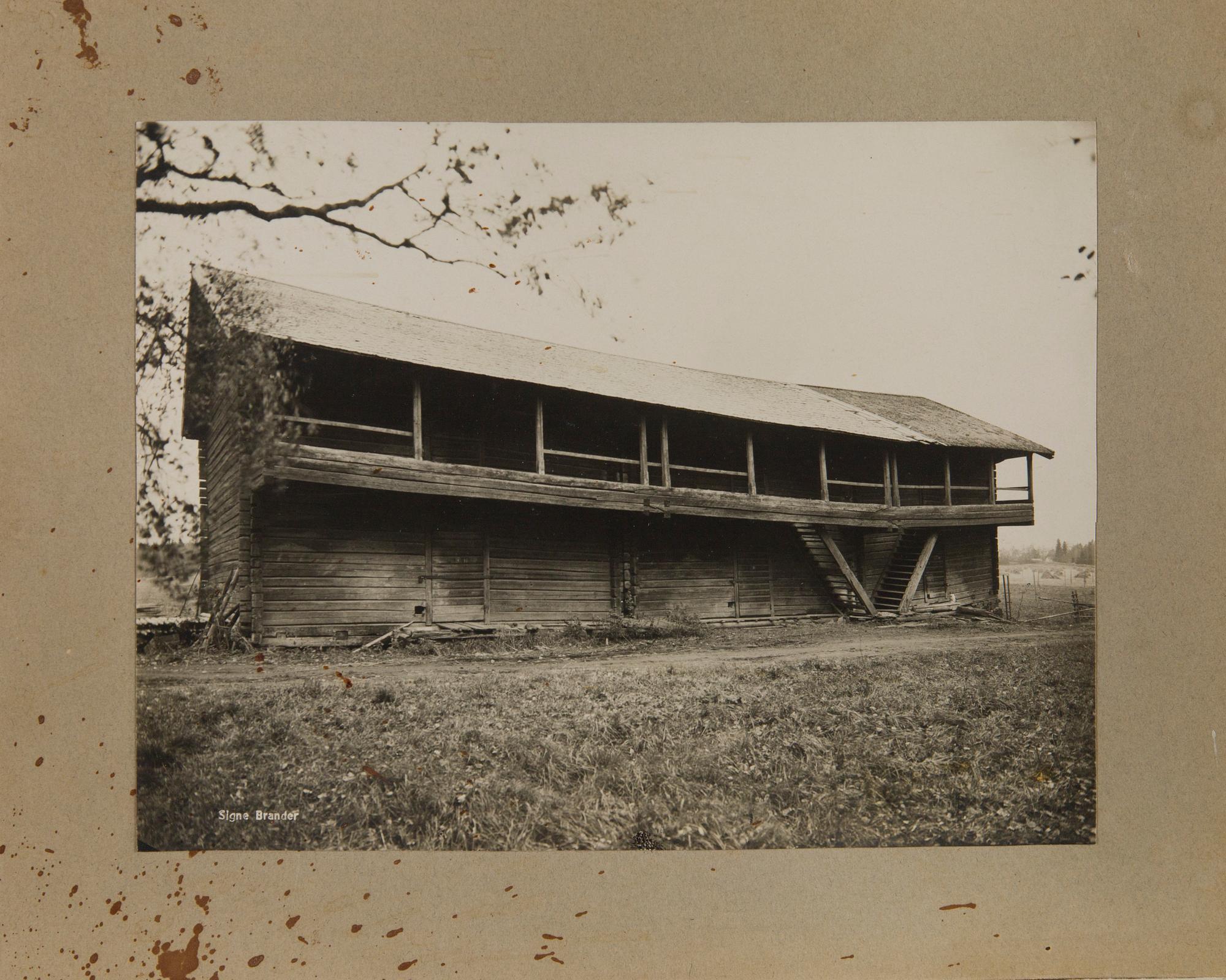 Signe Brander, eleven photographs, mounted on cardboard. First quarter of the 20th century.