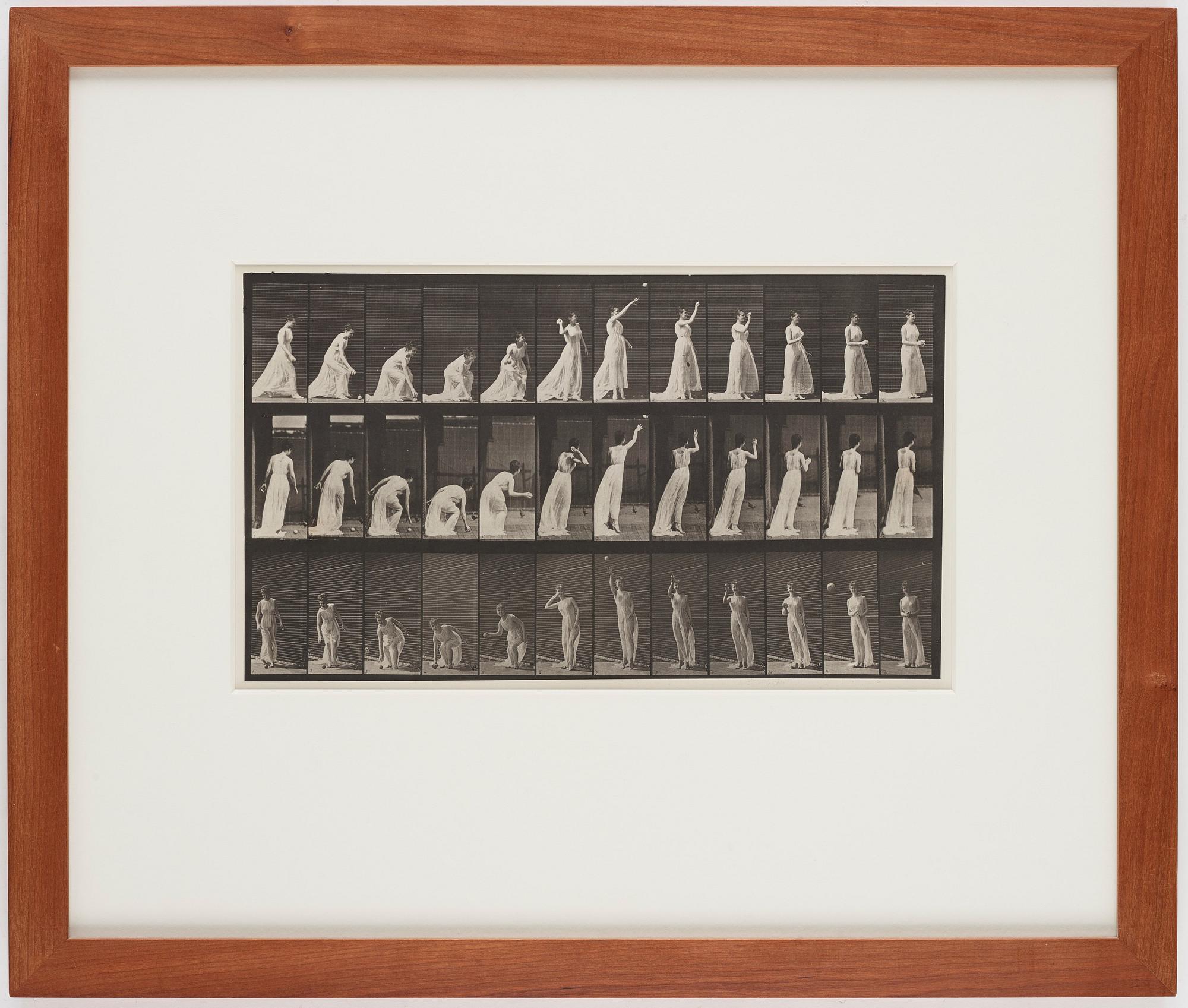 Eadweard Muybridge, Plate 305 from "Animal Locomotion", 1887.