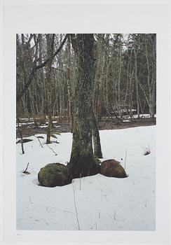 ANDREAS ERIKSSON, portfolio. Signed AE inside the box and numbered 18/250.