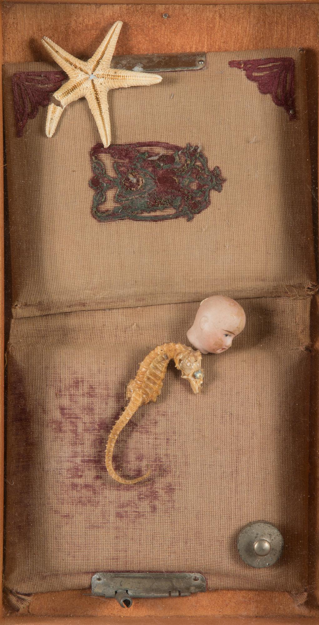 Juhani Harri, "Lapsi joka uneksii merestä".