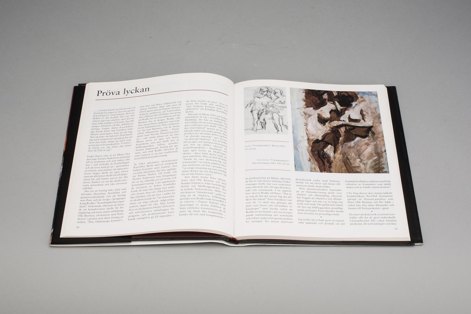 BOK, "Arbeten 1985-1987", Peter Dahl.