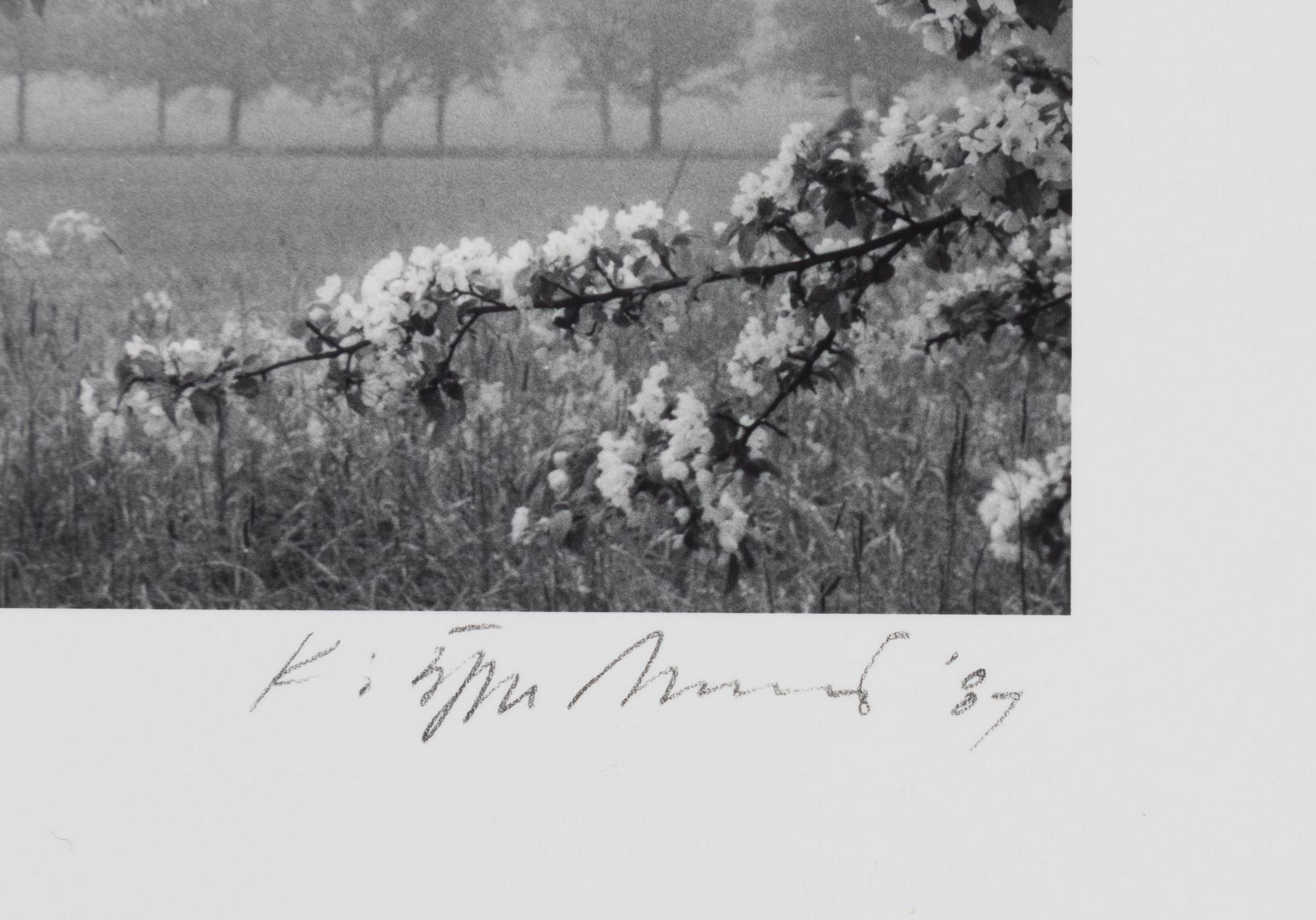 Kristoffer Albrecht, Untitled, 1989.