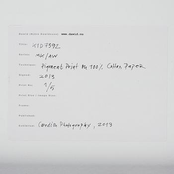 Dawid (Björn Dawidsson), "K1D7392", 2013.