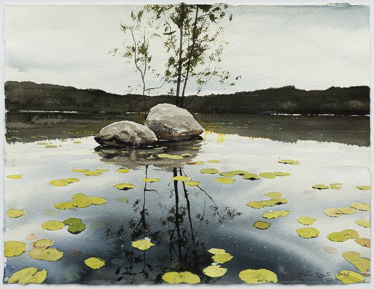 Peter Eugén, Näckrossjö med stenar.