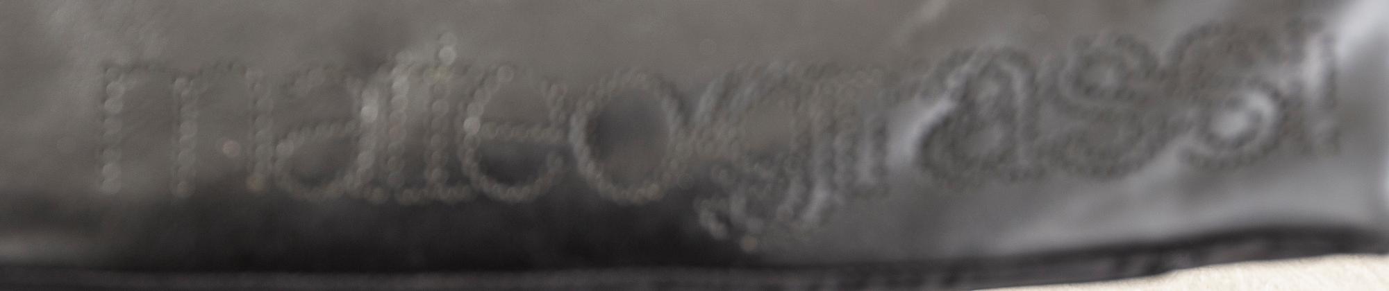 Tito Agnolo fåtöljer, ett par, "Korium", för Matteo Grassi, 1900-talets andra hälft.