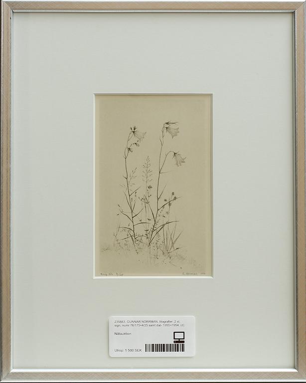 GUNNAR NORRMAN, 2 st, litografier, sign, numr 76/175 resp 4/25 samt dat 1955 resp 1954.