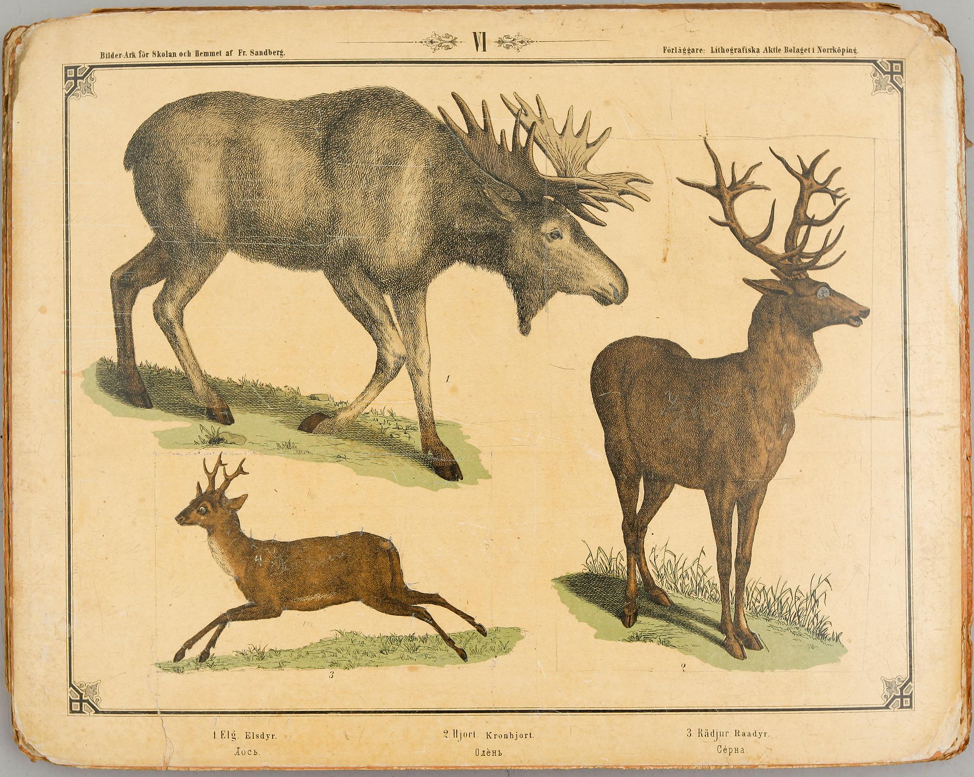 MAPP, "Bilderark för skolan & Hemmet", Fredrik Sandberg, lithografiska Aktie Bolaget, Norrköping, omkring år 1900.