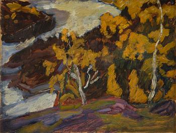 738. Helmer Osslund, Autumn mood by the rapids.