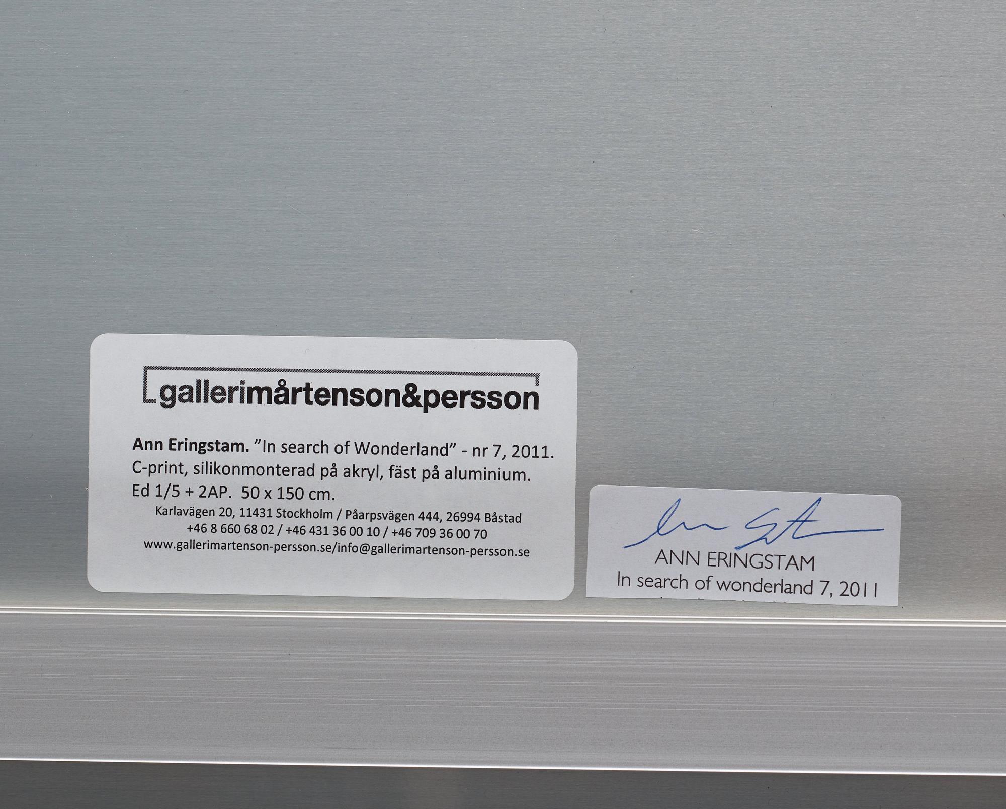 Ann Eringstam, C-print silicone mounted to aluminum and acrylic glass. Signed Ann Eringstam on label verso.