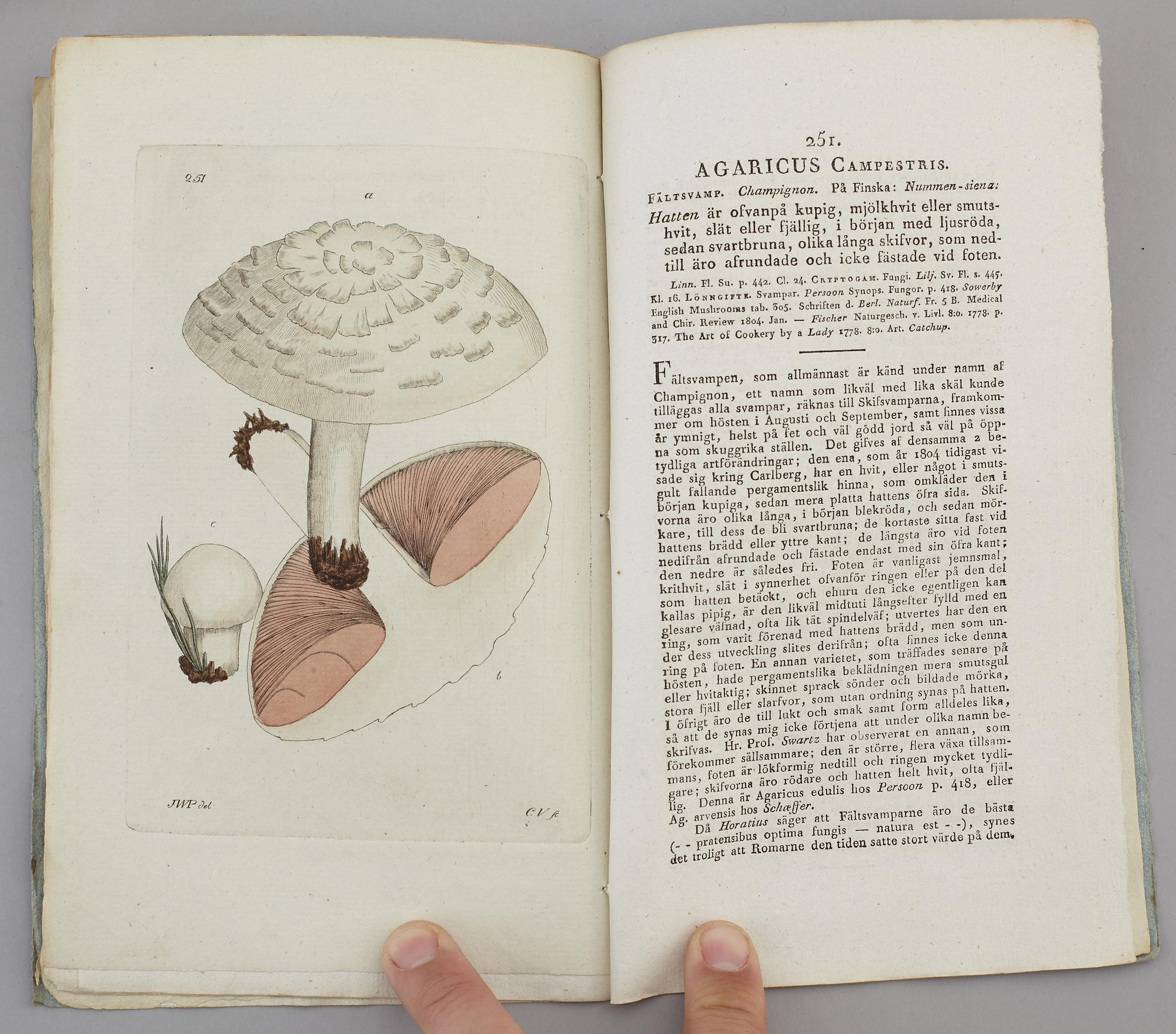 JOHAN WILHELM PALMSTRUCH, "Svensk Botanik, vol I-V. 1803-1805.