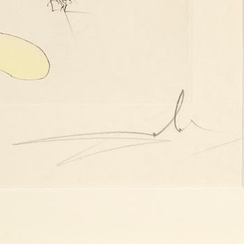 Salvador Dalí, torrnål kolorerad med stencil, 1975, signerad 33/300.
