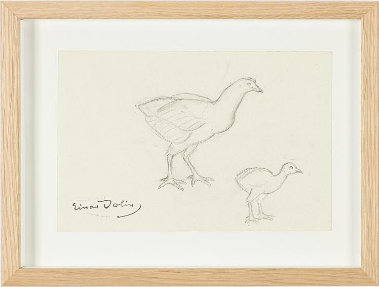 Einar Jolin, Birds.