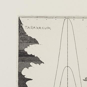 Christine Ödlund, "Bitter leaves and high frequencies".