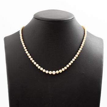 Collier pärlor lås platina med med gammalslipade diamanter.