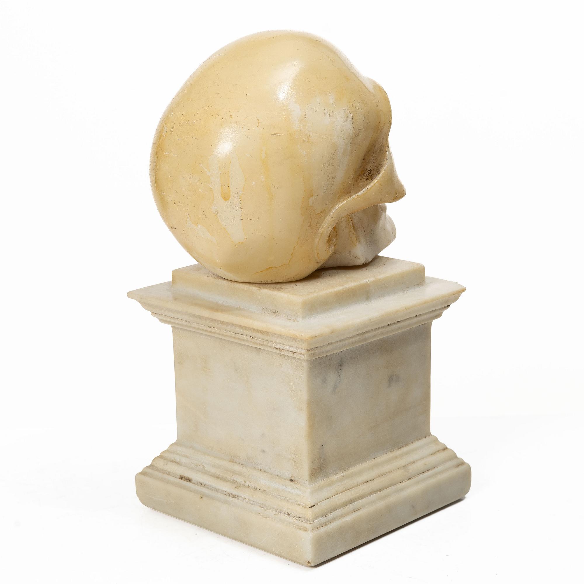 Skull sculpture, Grand Tour souvenir, circa 1900.