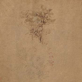 An extensive mountainous landscape with buildings by a river; verso Study of a plant.