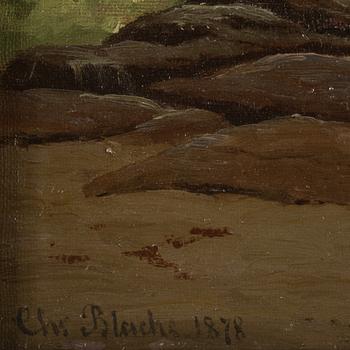 Christian Vigilius Blache,