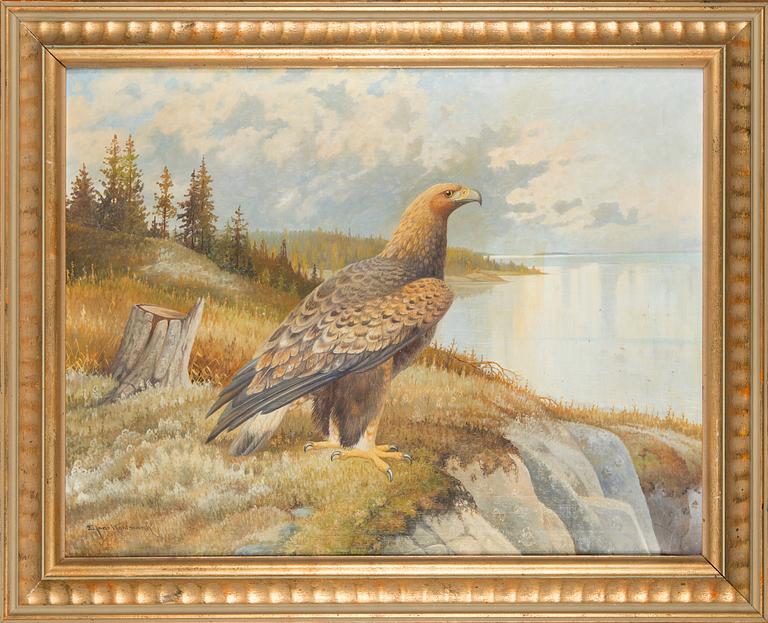 Ejnar Kohlmann, Kotka.